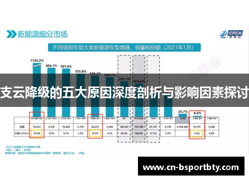 支云降级的五大原因深度剖析与影响因素探讨