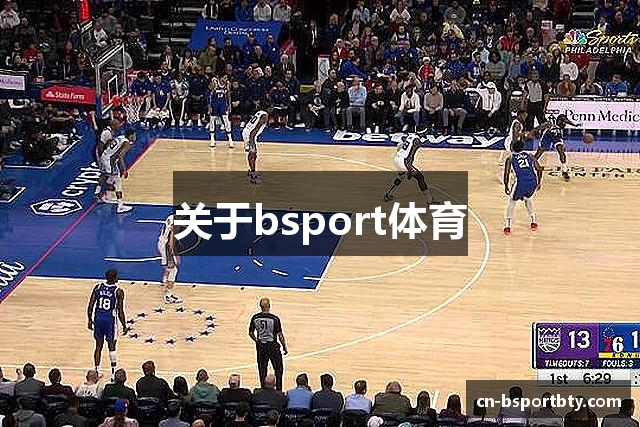 关于bsport体育